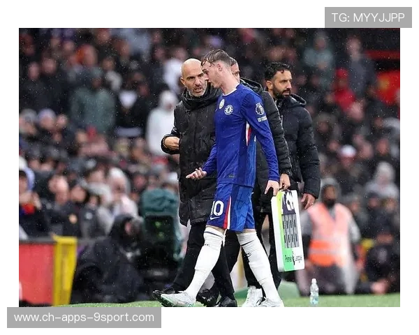 切尔西换帅风云，马雷斯卡难获高层支持，新帅候选引关注，切尔西换主帅